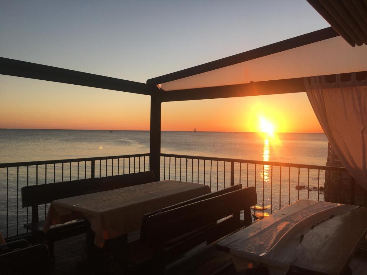 Anita Apartmán Umag
